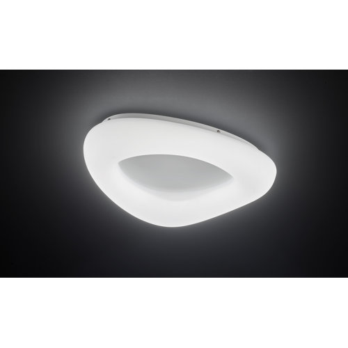 Ebern Designs LED-Deckenleuchte 1-flammig Newenton | Wayfair.de